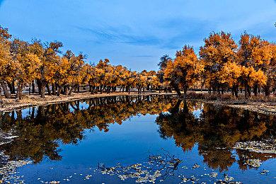 《救护车模拟器》现已上架Steam 自带简体中文